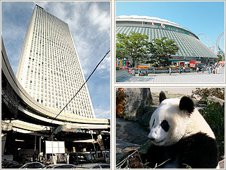 鴨川イン巣鴨周辺の施設