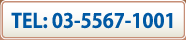 TEL: 03-5567-1001