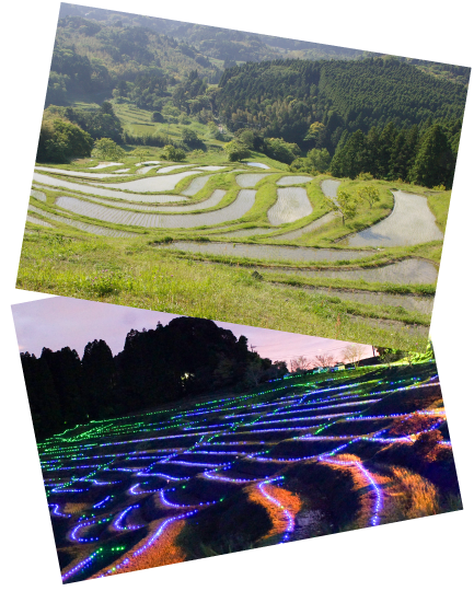 大山千枚田