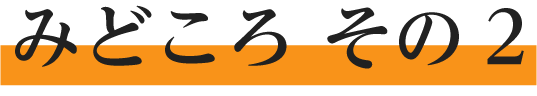 みどころ その2